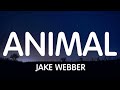 Jake Webber Animal Lyrics New Song
