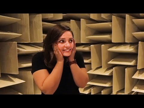 The Quietest Room on Earth