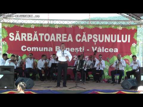 Sarbatoarea Capsunului 2015 organizata in judetul Valcea, la Bunesti