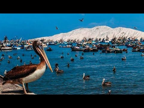 A CHIMBOTE Los rumbaneys soneros del ritmo