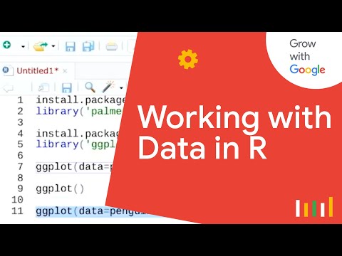Intro to Data Visualization with R ggplot2 | Google Data Analytics Certificate
