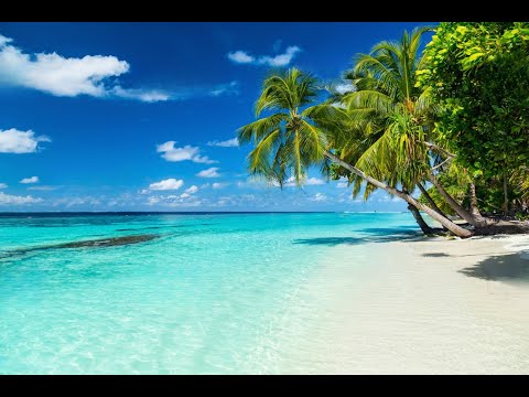 " Heavy " Reggaeton Mix 2023 | POP REGGAETON 2023 [Official Music Video]