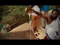 Aadi 18 Puja In Sri Mangala Anjaneya Swamy Temple Theni