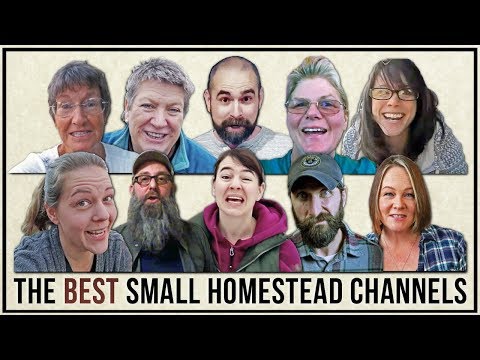 The BEST SMALL HOMESTEAD CHANNELS | Top 10 Tuesdays Video