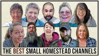 The BEST SMALL HOMESTEAD CHANNELS | Top 10 Tuesdays