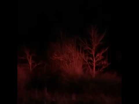 Mess {Prod  CapsCtrl}