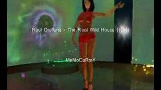 Raul Orellana - The Real Wild House (1990)