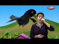 Moral Stories In English For Children The Thirsty Crow Story In English Storytelling In English