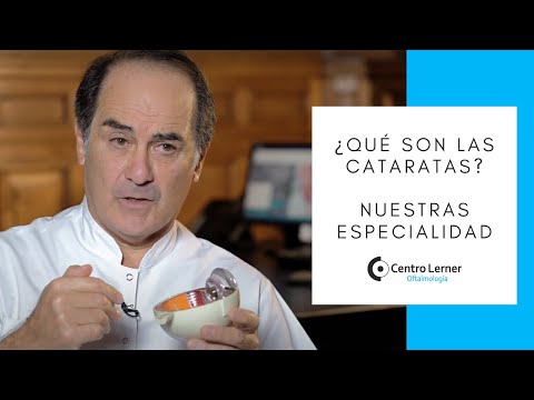 Ver video Centro Lerner