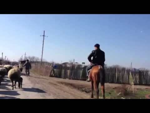 FIZULI RAYON QAZAXLAR KENDI