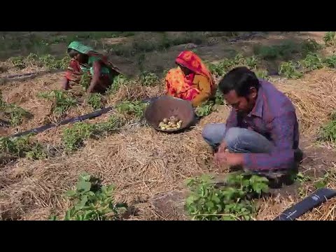 Support young changemakers in India