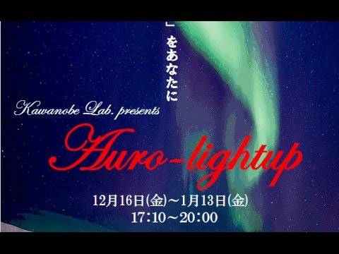 湘南キャンパスイルミネーション（オーロライト）