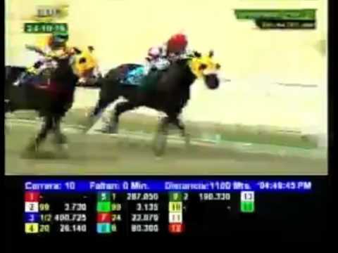 LA RINCONA 10 CARRERA, SABADO 24 DE OCTUBRE DEL 2015