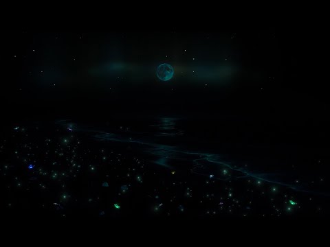 (No Ads) Sleep Hypnosis for Instant Calm • Eliminate Stress • Detox Negative Thoughts