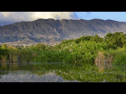 13. Policy & Governance