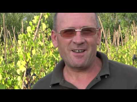 Mihai Prodan Puntiseni Vaslui.