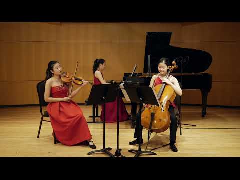 Mendelssohn: Piano Trio No. 1 in D minor, Op. 49 – I. Molto allegro ed agitato