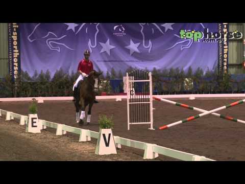 Top Horse TV | Emile Faurie & Greg Best Master Class