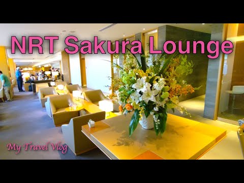 Sakura na Japan Airlines para San bay Narita