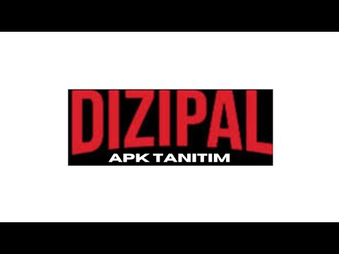 Dizipal503