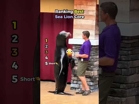 Ranking Best Sea Lion Core Moments