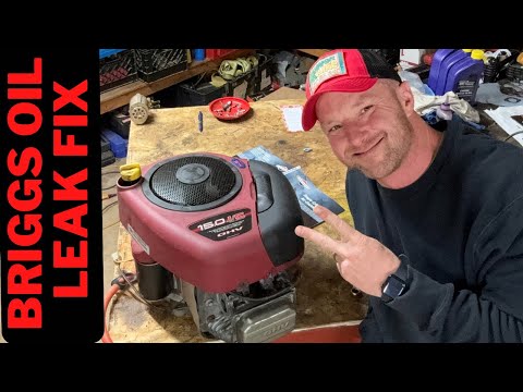 Riding Mower Oil Leak Fix - Briggs Oil Seals Replacement