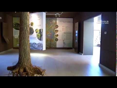Casa de la Madera - Interior