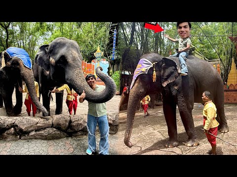 Waleed Ny Elephant Pa Ride Ki 🐘