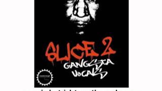 Video thumbnail for CENSORED v. Slice Vol 2 Gangsta Vocals - DJ Sykopath - Sample Pack: Hip Hop, All Styles by Industrial Strength Records