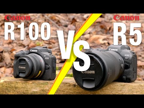 Canon R5 VS R100 – Does 10x price mean 10x the quality?