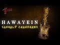 Hawayein– Jab Harry Met Sejal | Pritam | Imtiaz Ali| Arijit Singh | Lyrics | Musical Chore | Sankalp