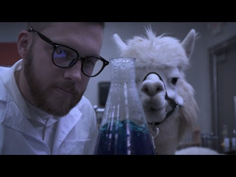 Alpacalypse Teaser