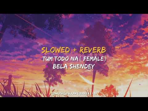 Tum Todo Na (Female) [ SLOWED + REVERB ] || Bela Shendey , Ash King || Lyrics