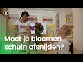 Blijven bloemen langer goed als je ze schuin afsnijdt? | NOJ