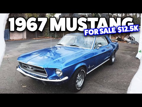 1967 Ford Mustang (CC-1664639) for sale in Penndel, Pennsylvania