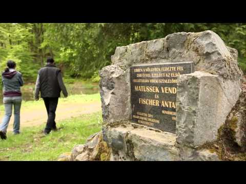 Szerencse lent előzetes