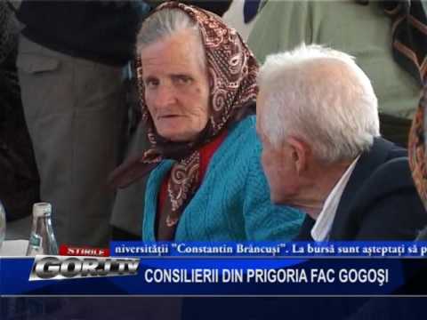 CONSILIERII DIN PRIGORIA FAC GOGOSI