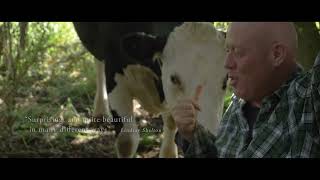 When The Cows Come Home Trailer