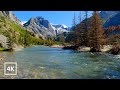 4K Gentle Mountain River in Montana Backcountry | Water Sounds White Noise | Sleep and Relaxation