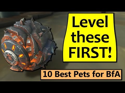 Level These First! 10 Best Battle Pets in BfA
