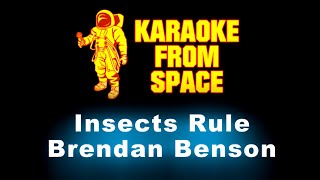 Brendan Benson • Insects Rule | Karaoke • Instrumental • Lyrics