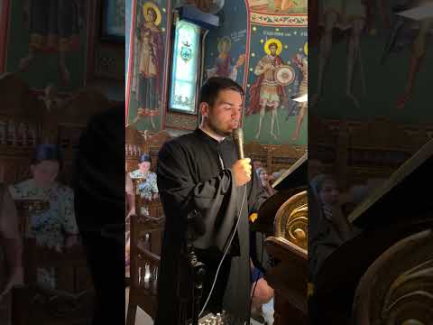 🙏🏻PREAMILOSTIVĂ MAICĂ 🙏🏻- protopsalt Mitu Ioan