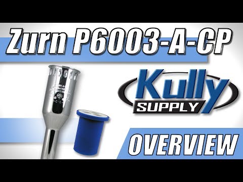 Zurn Vacuum Breaker 3/4" x 8-1/2" (P6003-A-CP) - KullySupply.com