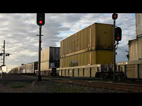 Freight Train (5PM9)
