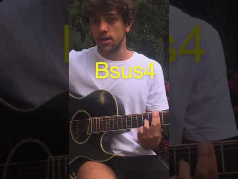 Tômalzão - Belina