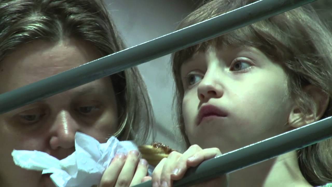 Colégio São José recebe Jogos ESI; veja cobertura completa