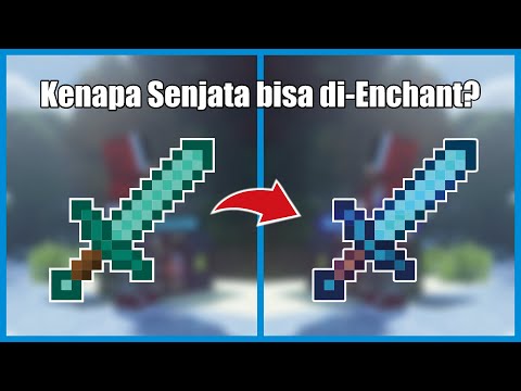 Why Can Minecraft Weapons Be Enchanted?  #shorts