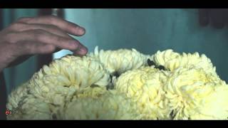 Little Big Town   Things You Don't Think About