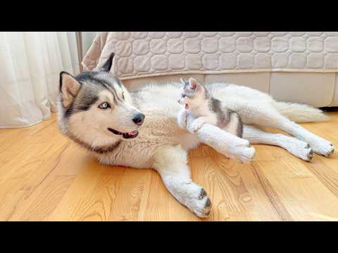 YouTube 썸네일