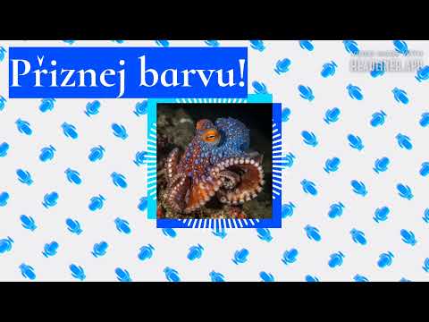 Přiznej barvu! | Faktoid